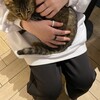 Логотип телеграм канала @wiithlloveeeeee — с любовью, айшатик🐈‍⬛