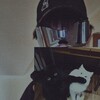 Логотип телеграм канала @wiklikss — wiklikss