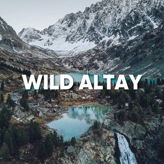 Telegram channel WILD RUSSIANS | АЛТАЙ logo