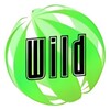 Telegram channel WILD logo