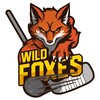 Логотип телеграм канала @wild_foxes_hockey — Дикие лисы || Команда по развитию хоккея