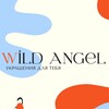 Логотип телеграм канала @wildangeljuverly — Украшения «Wild Angel»