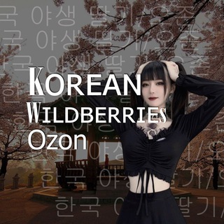 Логотип телеграм канала @wildberries_wb_vb2 — 🇰🇷 Корейский Wildberries | WB