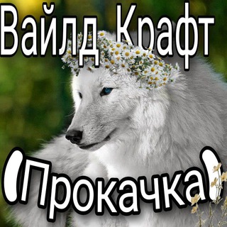 Логотип телеграм канала @wildcraft202 — 🌊Вайлд Крафт ⛱(Прокачка)🐋