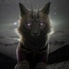 Логотип телеграм канала @wildcraft_77 — Вилд крафт