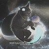 Логотип телеграм канала @wildcraft_iva — • wildcraft | звёздное цветение •