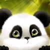 Logo of telegram channel wildcryptobox — Crypto panda