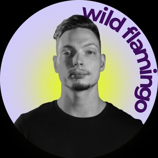 Логотип телеграм канала @wildflamingo_agency — WildFlamingo.Agency