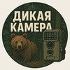 Логотип телеграм канала @wildlifecamera — Дикая Камера: природа, животные, птицы, видео, wildlife, nature