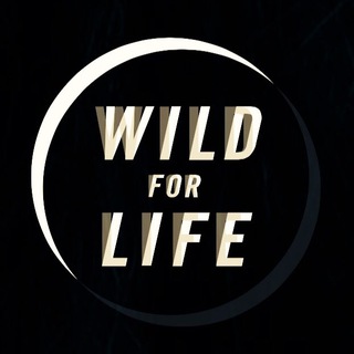 Logo of telegram channel wildliferescueteam — تيم نجات حيات وحش