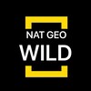 Логотип телеграм канала @wildneto — Nat Geo WILD