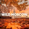 Логотип телеграм канала @wildrussians_moscow — WILD RUSSIANS | МОСКВА