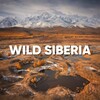 Логотип телеграм канала @wildrussians_siberia — WILD RUSSIANS | СИБИРЬ