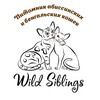 Logo of telegram channel wildsiblings — Wild Siblings