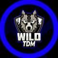 Telegram kanalining logotibi wildtdm1 — WILD TDM