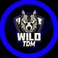 Telegram kanalining logotibi wildtdm1 — WILD TDM