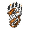 Логотип телеграм канала @wildteamnsk — Дикая Сотка - WildTeam