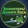 Логотип телеграм канала @wildvolunteer64 — Волонтёры🦔«Дикого Леса»🐇