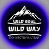 Логотип телеграм канала @wildway_altai — WildWay | почувствуй Алтай