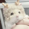 Логотип телеграм канала @wilimehomi — ❄️ᵕ˖⁠♡ Жυⲗυɰϱ Χσмы ♡⁠˖ᵕ❄️