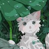 Логотип телеграм канала @willowshinewar — [𝚆𝚒𝚕𝚕𝚘𝚠-𝚜𝚑𝚒𝚗𝚎]