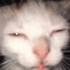 Логотип телеграм канала @willy_pnggg — Вилли.пыныга