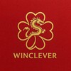 Логотип телеграм канала @wincleverauto74 — ВинклеверАвто