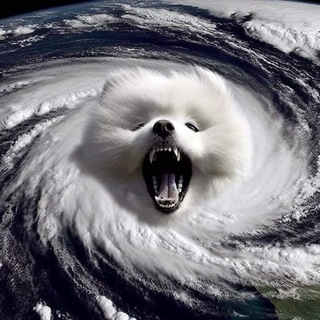 टेलीग्राम चैनल का लोगो windseasonhk — 2026香港天氣及風暴追擊 (Since 2017) 天佑香港。