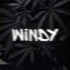 Логотип телеграм канала @windy_boys — WINDY