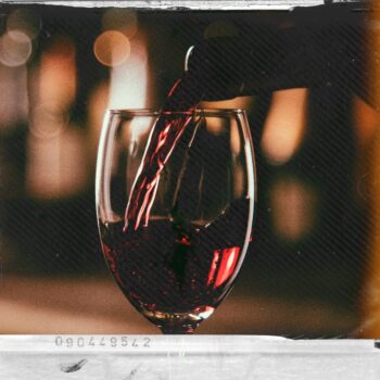 Telegram channel Wine Hounds – Offerte ed opportunità sul vino e molto altro logo