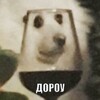 Логотип телеграм канала @winememetravel — Вино, мемы и тревел