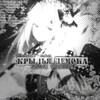 Логотип телеграм канала @wingsdemonn — инфо||ᴋᴩыᴧья дᴇʍᴏнᴀ