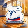 Логотип телеграм канала @wingsofvictory338 — Школьный Спортивный Клуб «КРЫЛЬЯ ПОБЕДЫ»