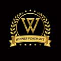 Logo saluran telegram winnerpokersite1 — WINNER POKER SITE