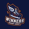 Логотип телеграм канала @winnershockey — Winners Hockey Agency