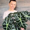 Логотип телеграм канала @winter_plants — Winter_plants