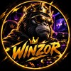 Логотип телеграм канала @winz0rr — Winzor розыгрыши каждый стрим