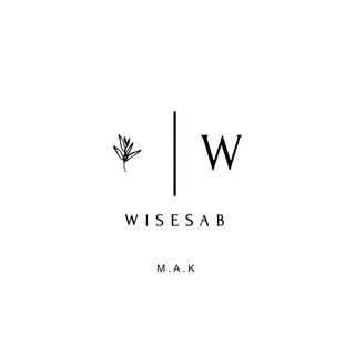 Логотип телеграм канала @wisesab — WISESAB