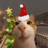 Логотип телеграм канала @wismate — ненужный тгк