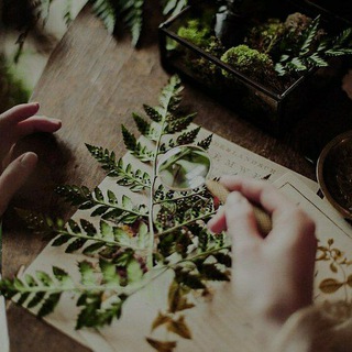 Логотип телеграм канала @witchesabode — Ведьмина обитель