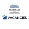 Логотип телеграм канала @wiut_vacancies — WIUT Vacancies / МВУТ Вакансии 💼