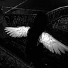 Логотип телеграм канала @wixilame — wixilame steam profiles