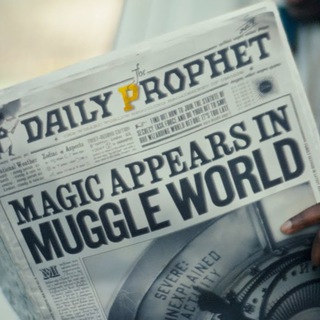 Logo del canale telegramma wizardsunitebologna - News HPWU Bologna