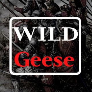 Логотип телеграм канала @wld_geese — Дикие Гуси | Войны и конфликты