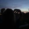 Логотип телеграм канала @wmuwmuwmu — бриттани