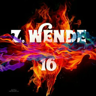 Logo of telegram channel wndep — Z Wende 16