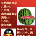 Logo saluran telegram wnqwnq — 【万能乔】出售💕微信号💕QQ💕