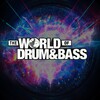 Логотип телеграм канала @wodbspb — The World of Drum & Bass (Санкт-Петербург)