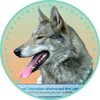 Логотип телеграм канала @woland_dogs — ВОЛЭНД - СОБАКА С ВОЛЧЬЕЙ КРОВЬЮ