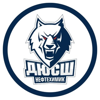 Telegram channel Волки из ДЮСШ logo